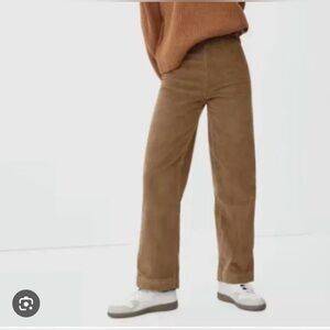 Everlane Corduroy Wide Leg Pant